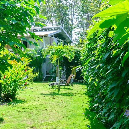 Olivia Del Caribe Suite Puerto Viejo de Talamanca Zewnętrze zdjęcie