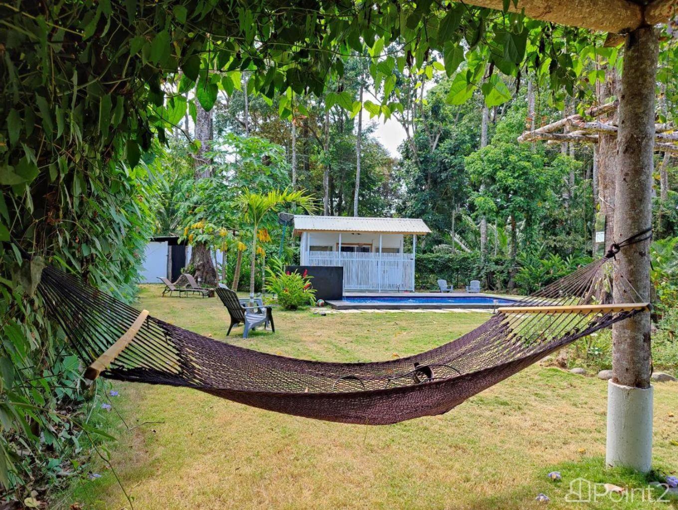 Olivia Del Caribe Suite Puerto Viejo de Talamanca Zewnętrze zdjęcie