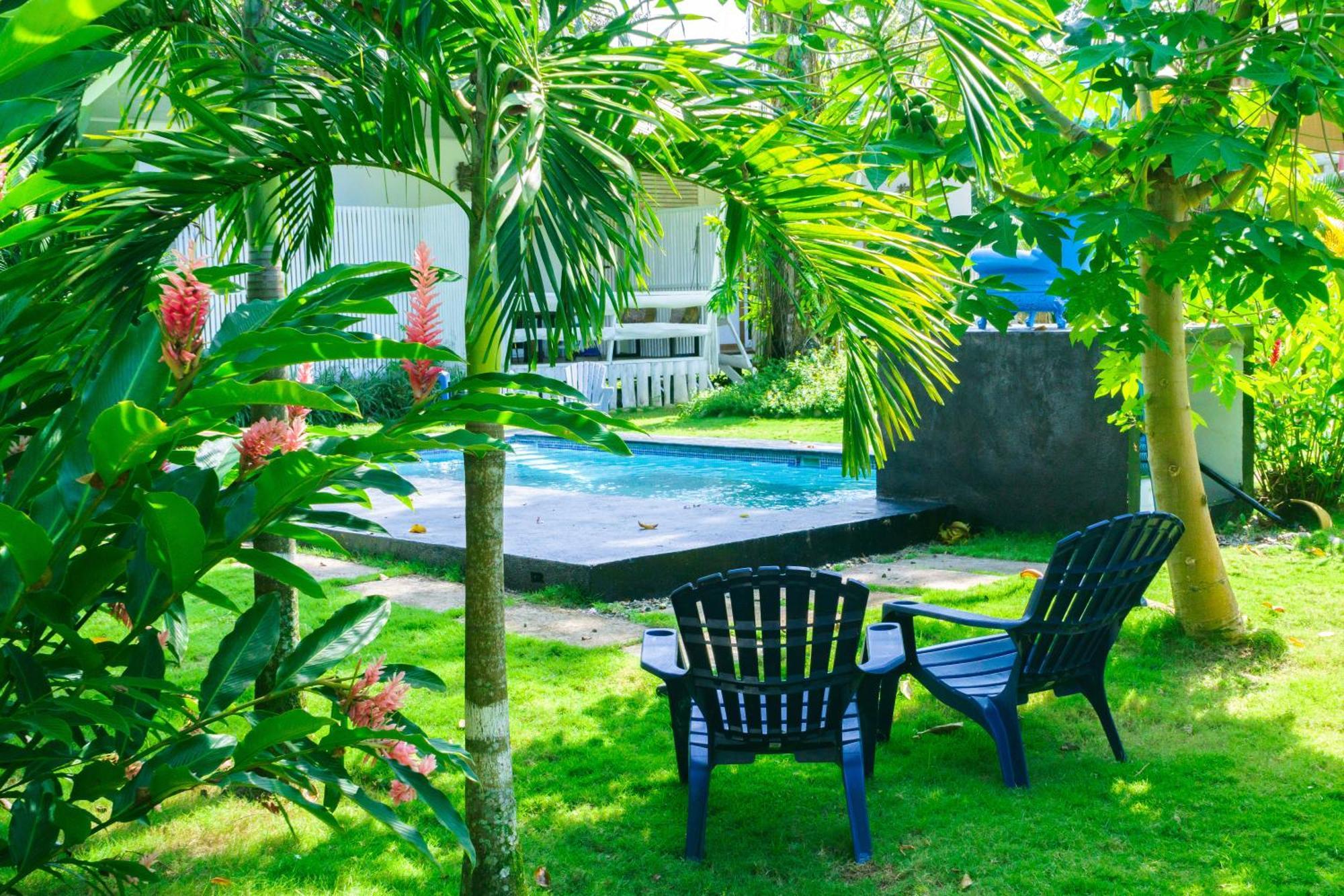 Olivia Del Caribe Suite Puerto Viejo de Talamanca Zewnętrze zdjęcie